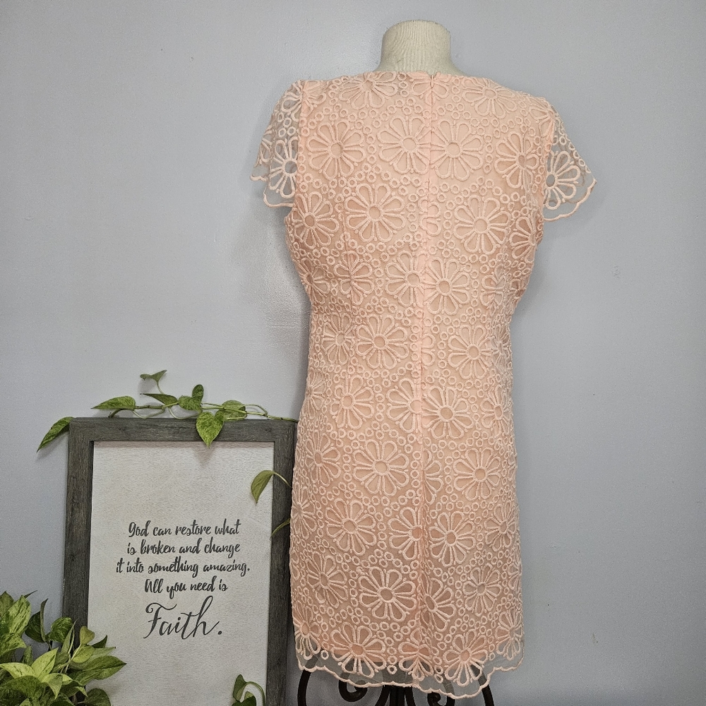 Lace Dress Size 14 New - Picture 11 of 16